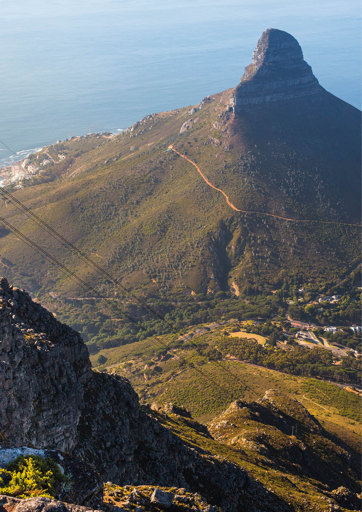 Lions head mountain and Sea Point area seen in the background. Table Mountain national park is a popular destination due to its hiking trails with dramatic views over Cape Town and surrounding area.